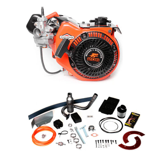 BRIGGS LO206 COMPLETE ENGINE KIT