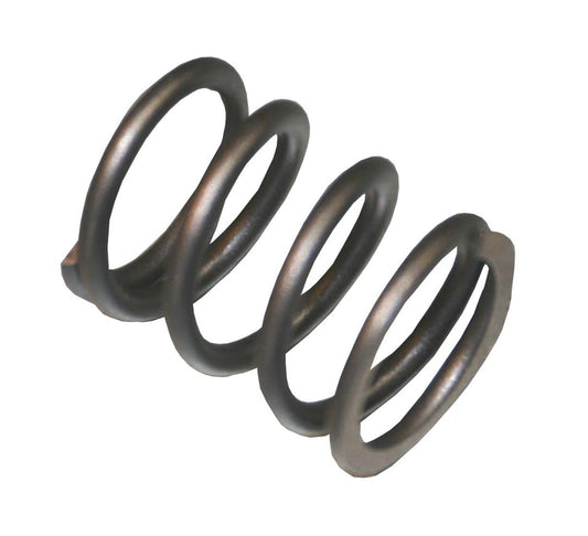 TILLOTSON VALVE SPRING