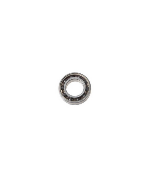 Koyo Bearing 6005 C4 (Polyamide)