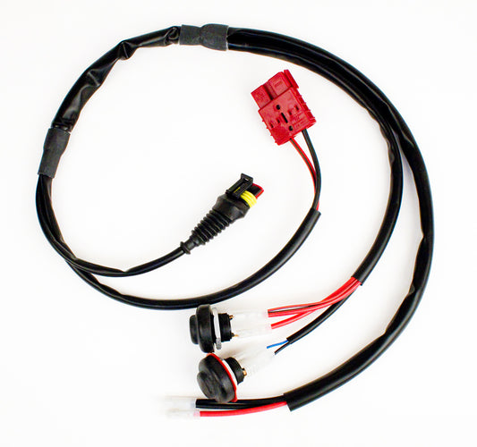 IAME WIRING HARNESS - SWIFT, KA100, X30