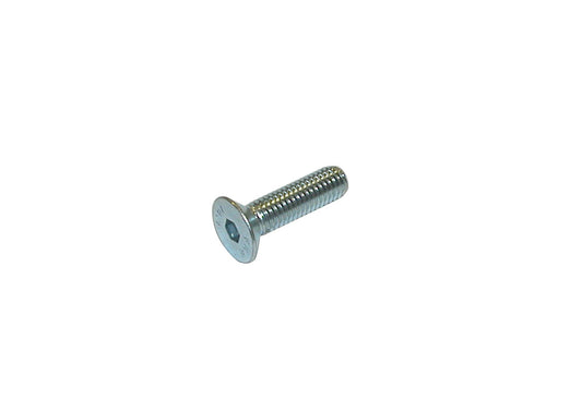 D - V.TPSCEI8X55 TPSCEI screw 8x55 mm